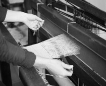 Image Ainsley Hillard