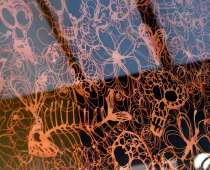 Clare Knox Bentham, Photo Credits: Antonia Dewhurst