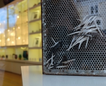 Images: Georgia Colman