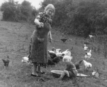 Tom Wood - Feeding the Hens