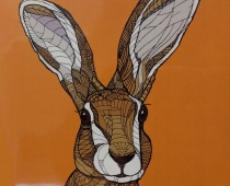 image of hare